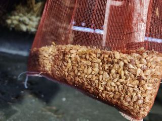 최승일님의 작성글 사진