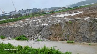 이미경님의 자유주제 · 자유게시판 작성글 사진