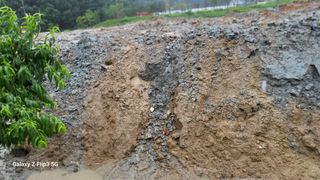 이미경님의 자유주제 · 자유게시판 작성글 사진