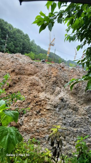 이미경님의 자유주제 · 자유게시판 작성글 사진