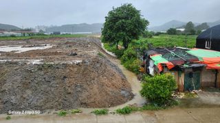 이미경님의 자유주제 · 자유게시판 작성글 사진