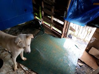 이미경님의 자유주제 · 자유게시판 작성글 사진