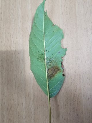 한농농약종묘사님의 자유주제 · 자유게시판 작성글 사진