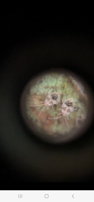 한농농약종묘사님의 자유주제 · 자유게시판 작성글 사진