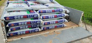 가재승님의 벼 · 영농일지 작성글 사진