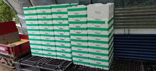 달맛햇복숭아농원님의 복숭아 · 자유게시판 작성글 사진