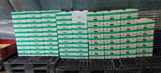 달맛햇복숭아농원님의 복숭아 · 자유게시판 작성글 사진