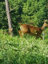 팜모닝 자유주제·자유게시판 게시글 이미지