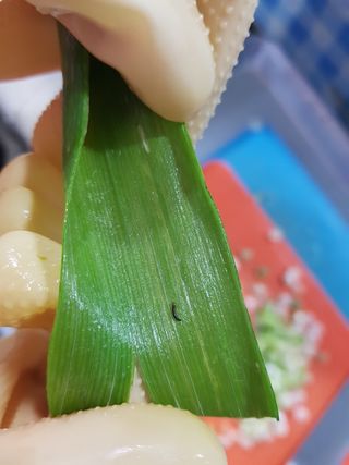 친환경님의 파 · 병해충상담 작성글 사진