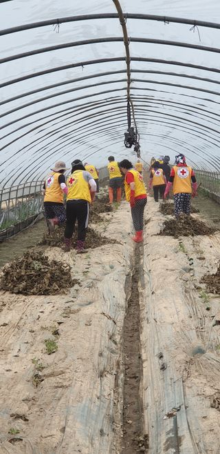 호박댁님의 수해 농가 응원 같이해요 · 참여 작성글 사진