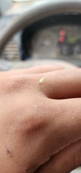 팜모닝 고구마·병해충상담 게시글 이미지