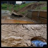 팜모닝 수해 농가 응원 같이해요·참여 게시글 이미지