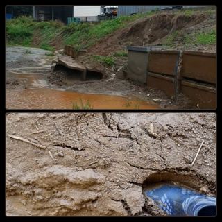 이소영님의 수해 농가 응원 같이해요 · 참여 작성글 사진