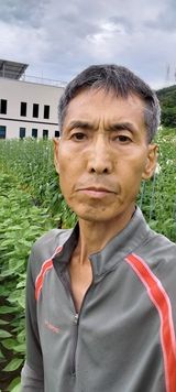 팜모닝 들깨·영농일지 게시글 이미지