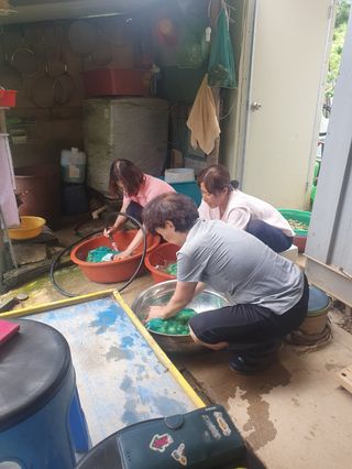 인생은 소풍처럼님의 복숭아 · 자유게시판 작성글 사진