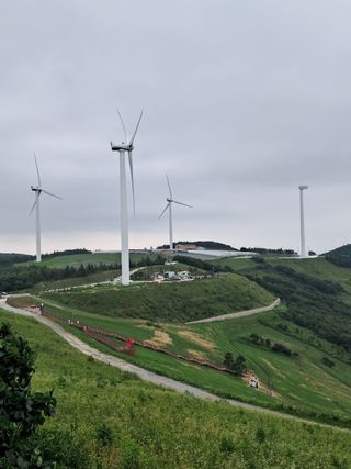인생은 소풍처럼님의 복숭아 · 자유게시판 작성글 사진