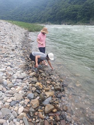 인생은 소풍처럼님의 복숭아 · 자유게시판 작성글 사진