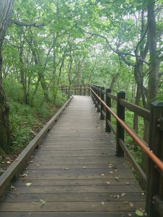 인생은 소풍처럼님의 복숭아 · 자유게시판 작성글 사진