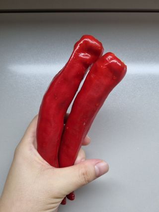 아이농장님의 고추 · 시세•판로 작성글 사진