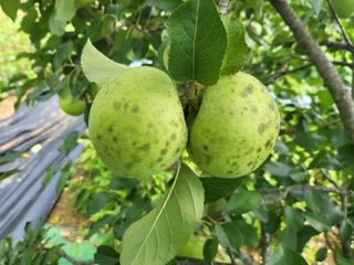 논산상월안정환님의 자유주제 · 자유게시판 작성글 사진