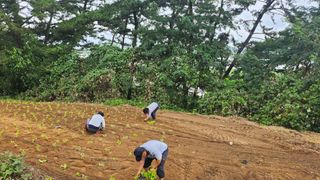 심지님의 수해 농가 응원 같이해요 · 참여 작성글 사진