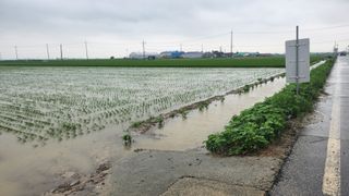 심지님의 수해 농가 응원 같이해요 · 참여 작성글 사진