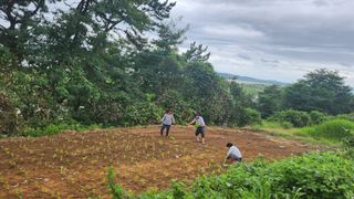심지님의 수해 농가 응원 같이해요 · 참여 작성글 사진