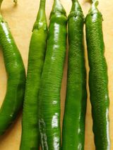 팜모닝 고추·병해충상담 게시글 이미지