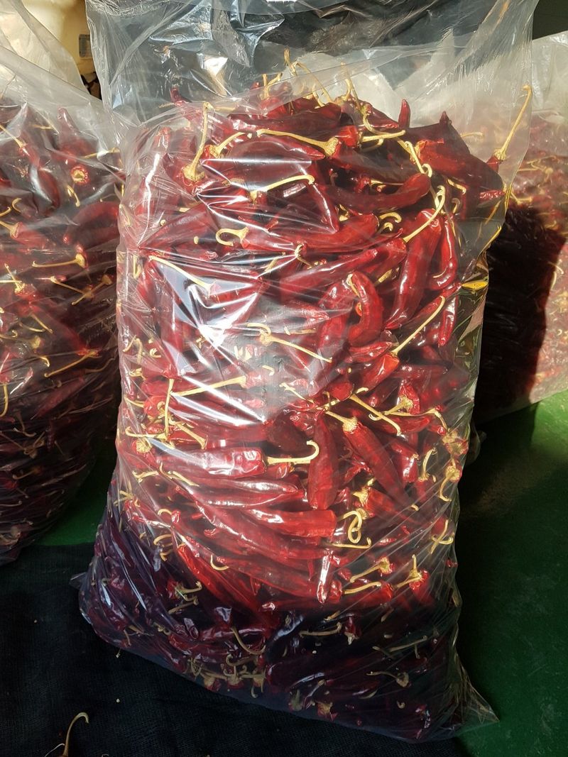 승현이네농님의 장터 판매 상품 [건고추 (1근600g)(꼭지무)] 첨부 사진