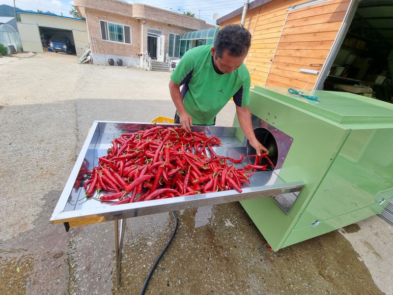 승현이네농님의 장터 판매 상품 [건고추 (1근600g)(꼭지무)] 첨부 사진