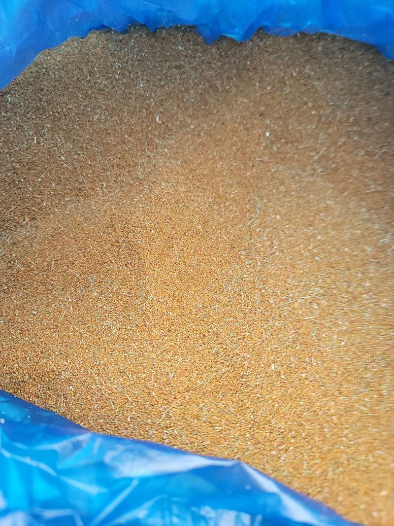 장터 상품 [냉이씨] 썸네일