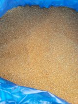 팜모닝 · 게시글 이미지