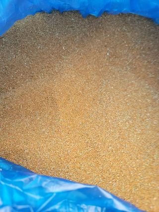 김영숙님의 작성글 사진