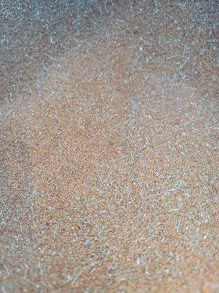 김영숙님의 작성글 사진