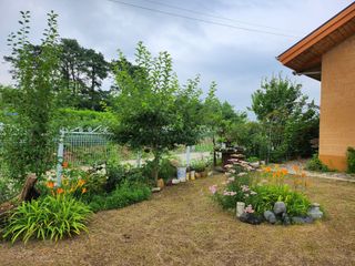 두학황토집님의 자유주제 · 자유게시판 작성글 사진