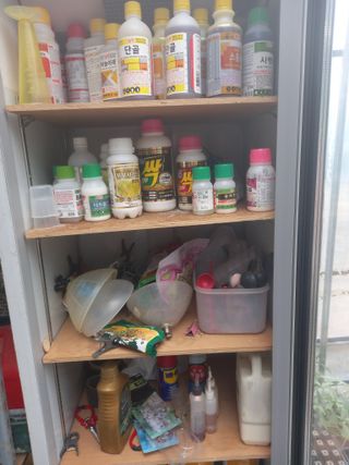 박수웅 님의 자유주제 · 자유게시판 작성글 사진