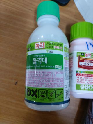 서강(Byun)님의 포도 · 영농일지 작성글 사진