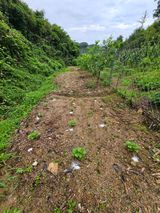 팜모닝 들깨·자유게시판 게시글 이미지