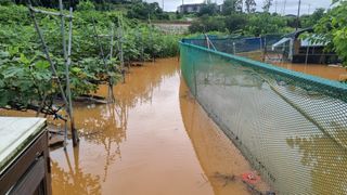 김민철 님의 수해 농가 응원 같이해요 · 참여 작성글 사진