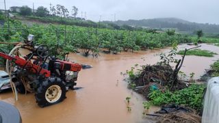 김민철 님의 수해 농가 응원 같이해요 · 참여 작성글 사진