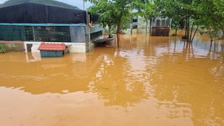 김민철 님의 수해 농가 응원 같이해요 · 참여 작성글 사진