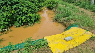 김민철 님의 수해 농가 응원 같이해요 · 참여 작성글 사진