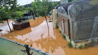 김민철 님의 수해 농가 응원 같이해요 · 참여 작성글 사진