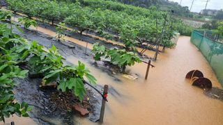 김민철 님의 수해 농가 응원 같이해요 · 참여 작성글 사진
