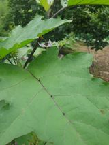 팜모닝 자유주제·자유게시판 게시글 이미지