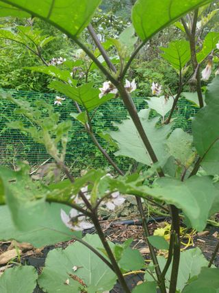 둥시감님의 자유주제 · 자유게시판 작성글 사진