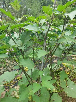 둥시감님의 자유주제 · 자유게시판 작성글 사진