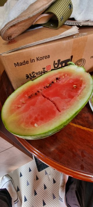 고정민님의 자유주제 · 자유게시판 작성글 사진