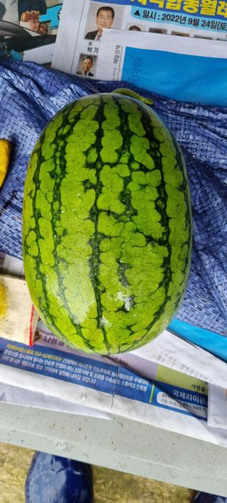 고정민님의 자유주제 · 자유게시판 작성글 사진