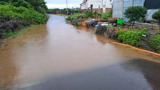 김화석님의 수해 농가 응원 같이해요 · 참여 작성글 사진